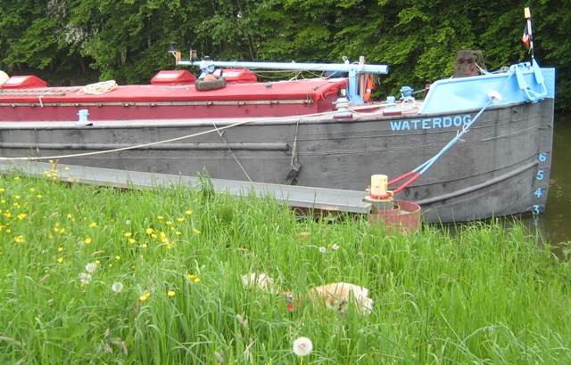 Moored Barlaimont